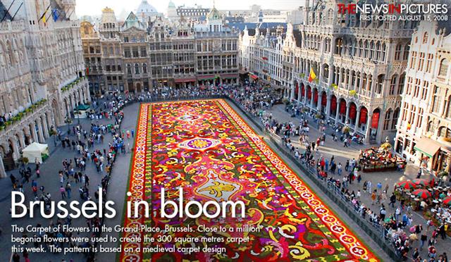 Carpet of flowers image 1